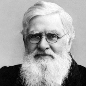 Альфред Рассел Уоллес (Alfred Russel Wallace)
